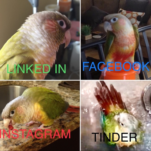 Meet your Posher, Allison - Picture 3 of 5